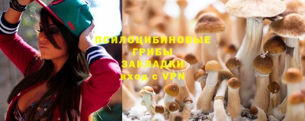 мдма Новодвинск