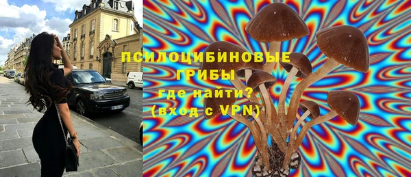 гашик Новозыбков