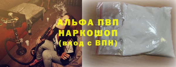 гашик Новозыбков