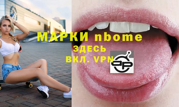 гашик Новозыбков