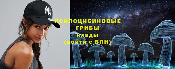 амф Билибино