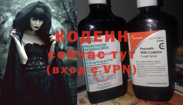 гашик Новозыбков