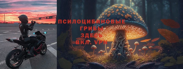 мдма Новодвинск