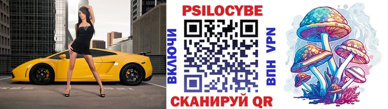 Галлюциногенные грибы Psilocybe  даркнет сайт  Протвино 